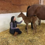 "Haha" - Colt out of HP Artfully (owned by Michelle Sipiorski)